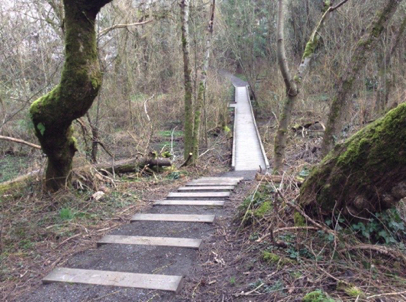 Stairs at trailhead that connect to gravel trail